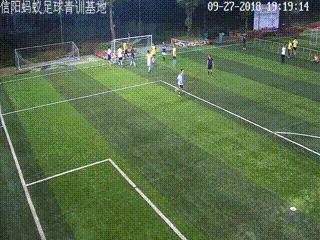 信阳大黄蜂足球,河南信阳蚂蚁足球俱乐部