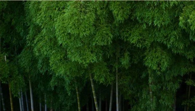 南京江宁居然藏着这么一块宝地……