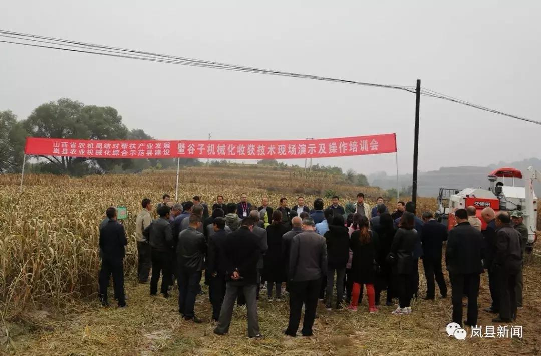 岚县谷子机械化收获,机械化割谷子技术视频