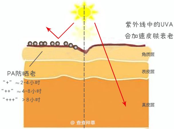 实用丨不防晒=变黑+变老!10款口碑防晒请收好!