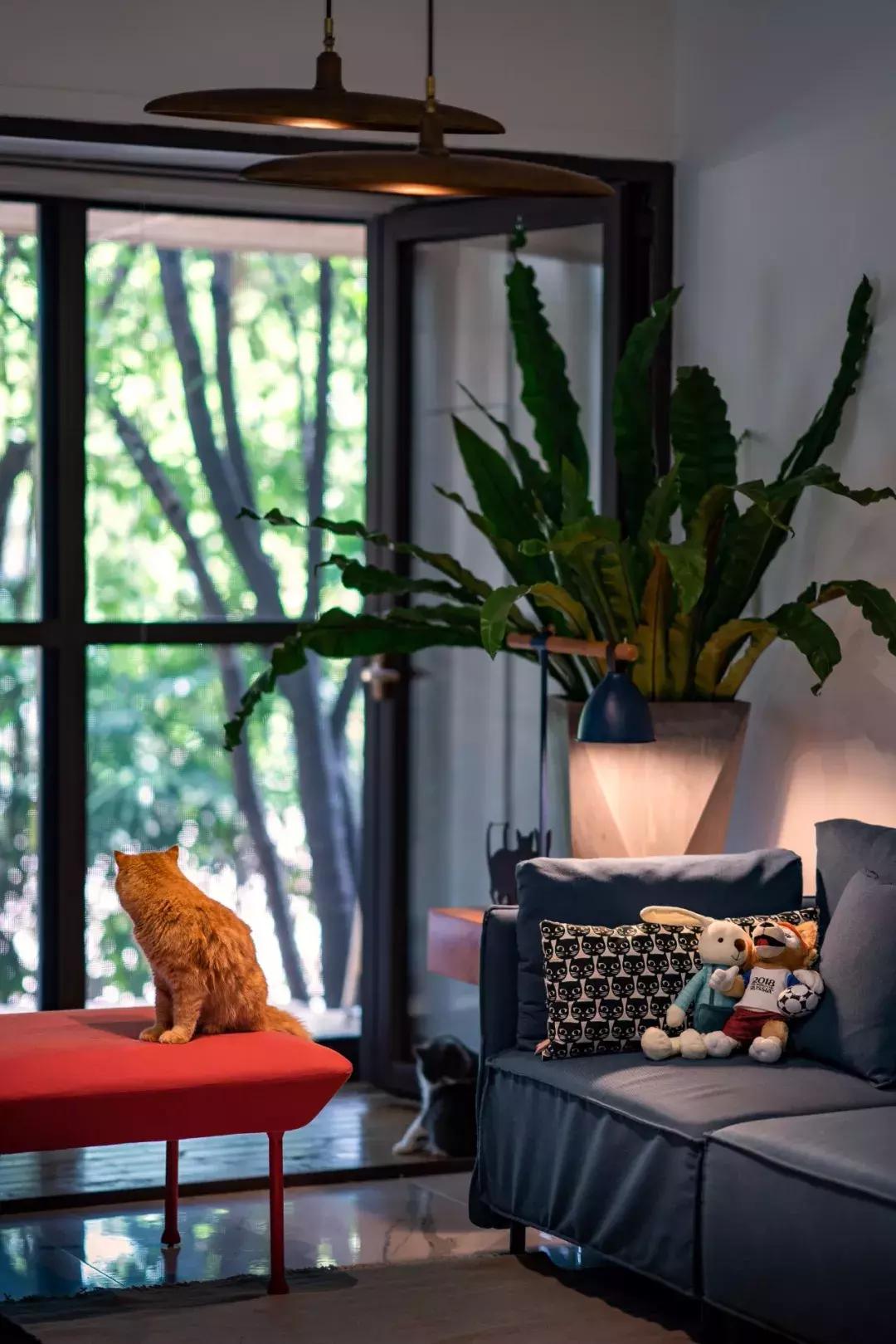 閾插睅瀹樺拰鐚挭鐨勫崸瀹よ璁″浘,閾插睅瀹樼粰鑷鐚挭璁捐鎴垮瓙