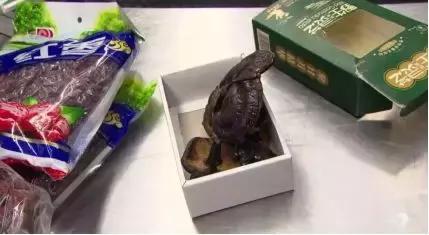 中国大妈出国探望儿子，行李箱被打开的那一刻，所有人都惊呆了！