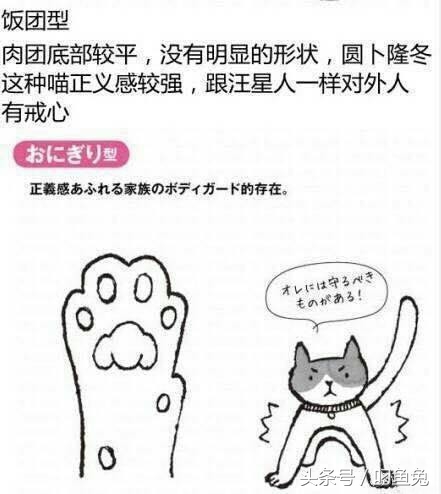 猫咪手相可以看出什么性格 (怎么给猫咪测手相)