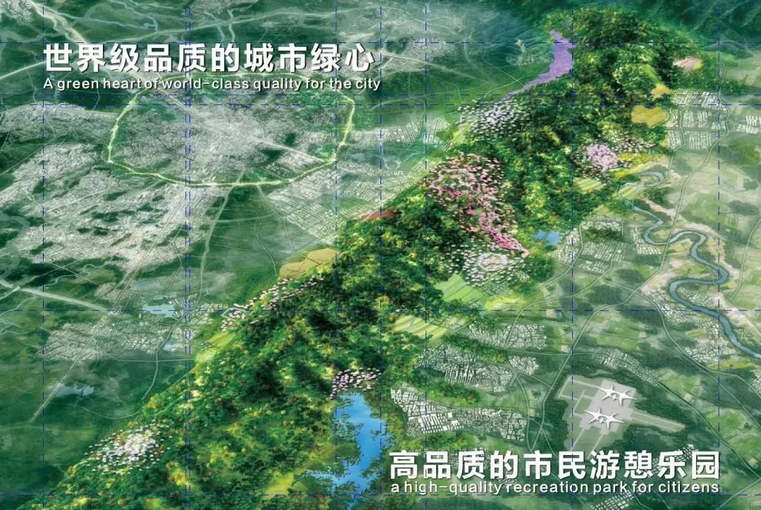 成都看篮球世界杯的地方,成都在哪里可以看体育比赛