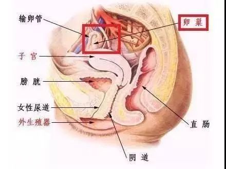 医疗美容陷阱大全,警惕美容院里的养生陷阱