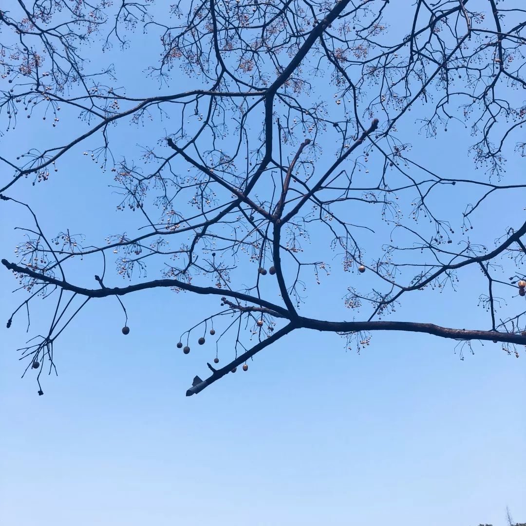 来岱山寻找那一份宁静，源于最美“初见”