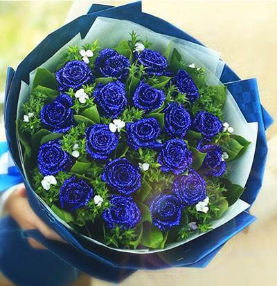 蓝色妖姬怎么选址,蓝色妖姬适合什么地区种植