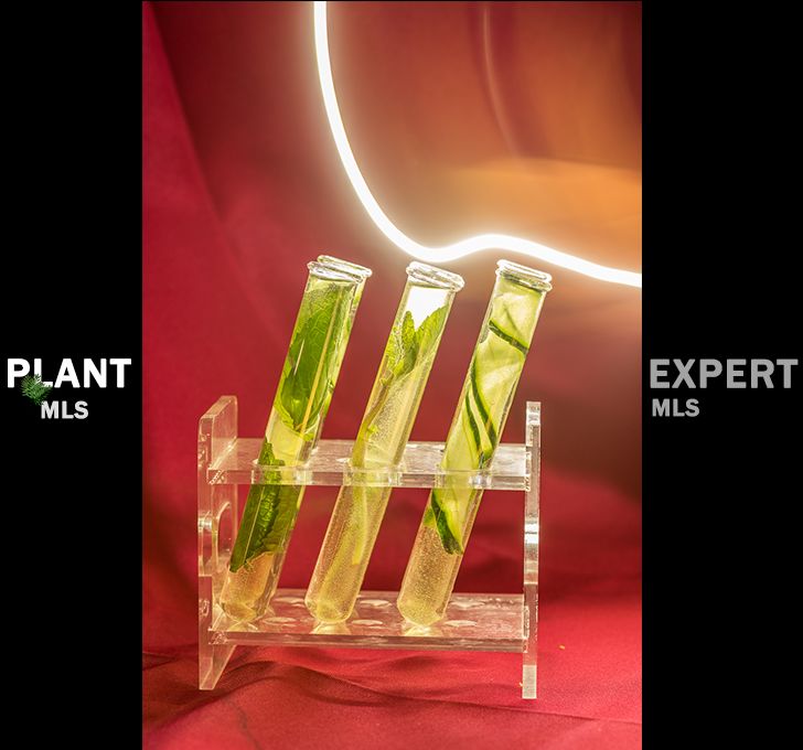 惠州超劲爆酒吧,惠州市最潮酒吧