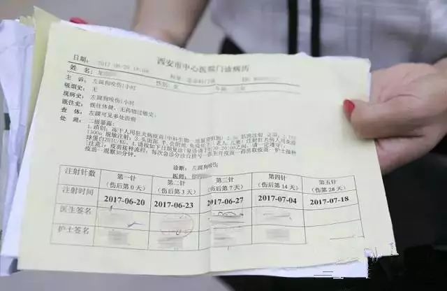 6岁小孩被狗咬13天后狂犬病发作,6岁小孩被狗咬了打狂犬疫苗