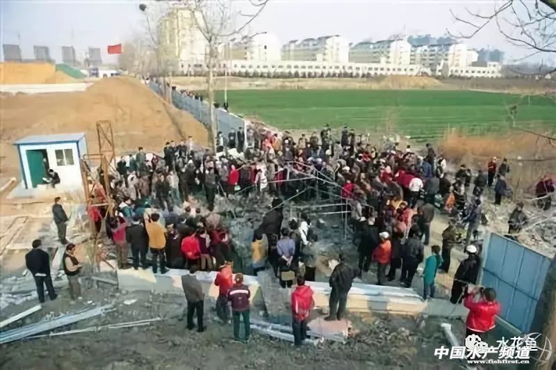 禁养区养殖场取缔相关的法律,禁养区养殖污染向哪个部门举报