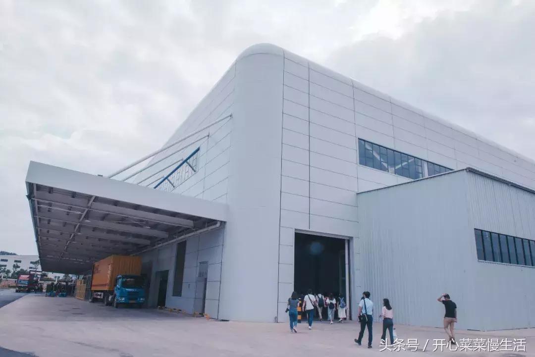 未来会被机器人替代吗,未来人类会被机器人取代吗