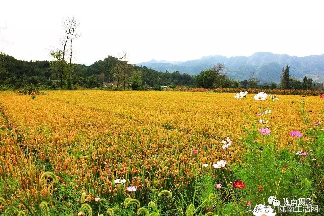 陇南徽县游龙川,徽县游龙川李家寺