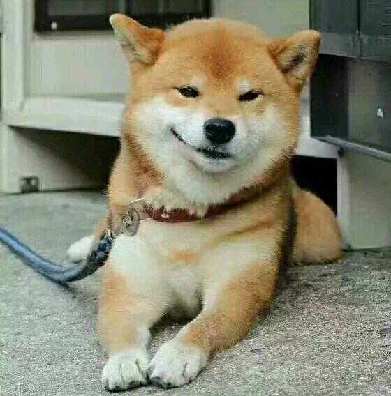 那些年我们吹过的牛完整版,拉基蒂奇回归梅吹群主