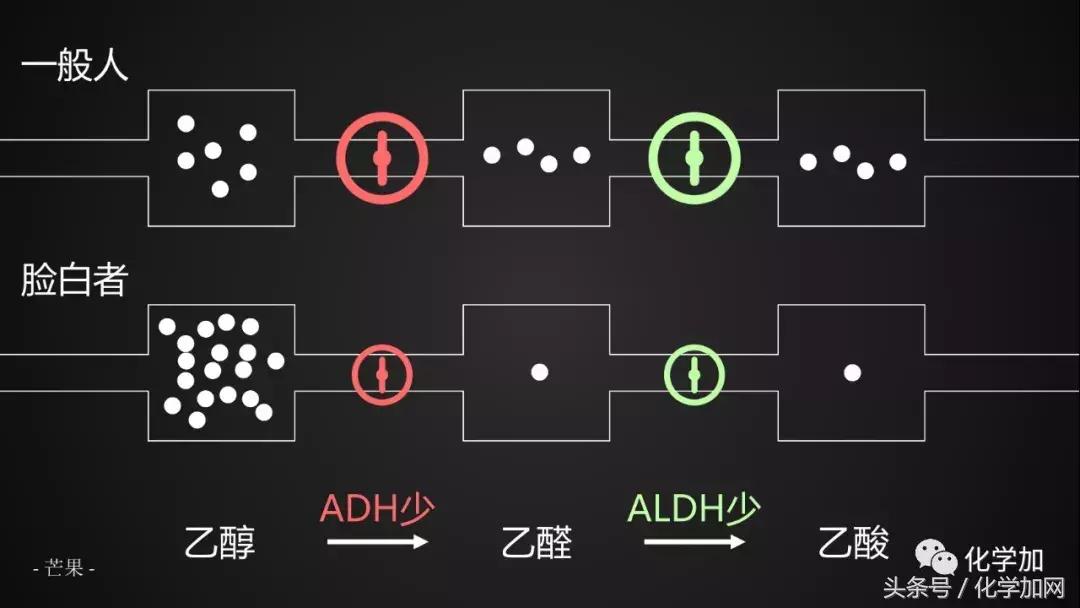 喝酒后皮肤变红逐渐变白是啥,喝酒后脸色会变白什么原因