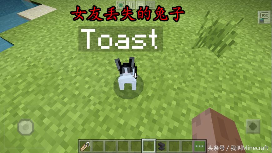 我的世界兔子的种类,我的世界兔子真正身份