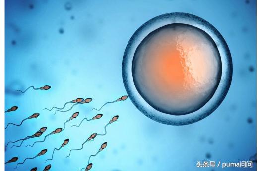 受精卵怎么就回不了“宫”？该如何避免宫外孕？