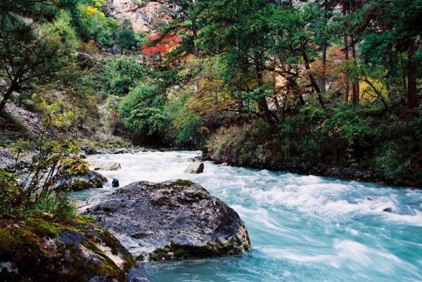 甘南秋天,甘南州的秋天