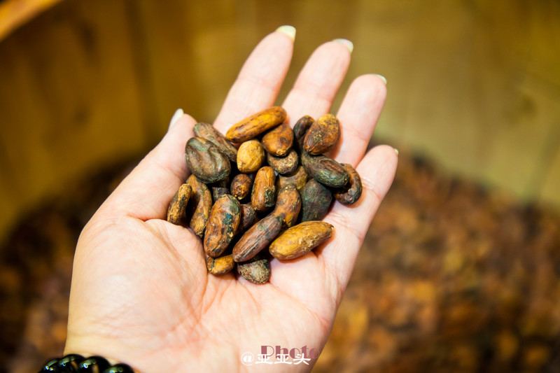 十一小长假带婴儿去哪里玩,十一长假想带孩子旅游长见识