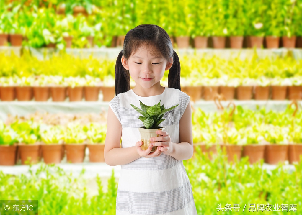 日本最可怕的农业模式,日本农业技术有多可怕