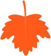 「优秀住院医师」孙晓彤：业精于勤，行成于思