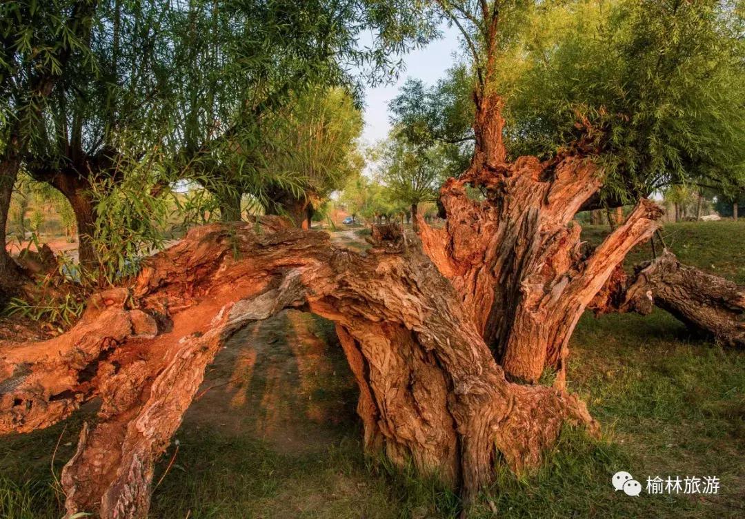 榆林十一假期旅游推荐,十一榆林自驾游攻略