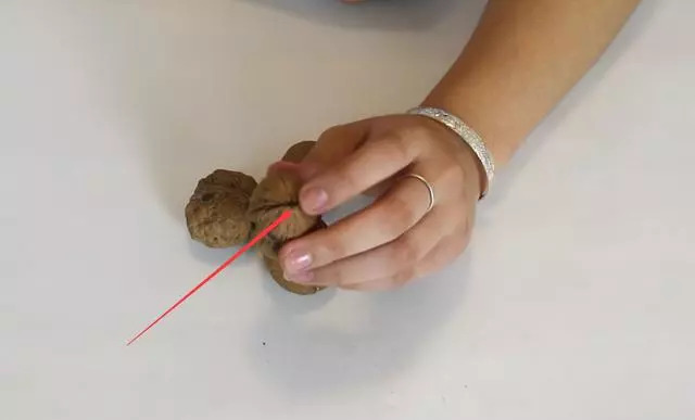 核桃打下来不开用啥办法,核桃打不开夹子