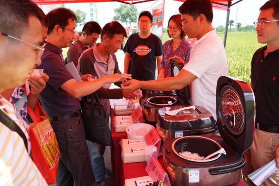 彩色米、年糕米、寿司米……291个品种亮相，稻米也可量身定制！