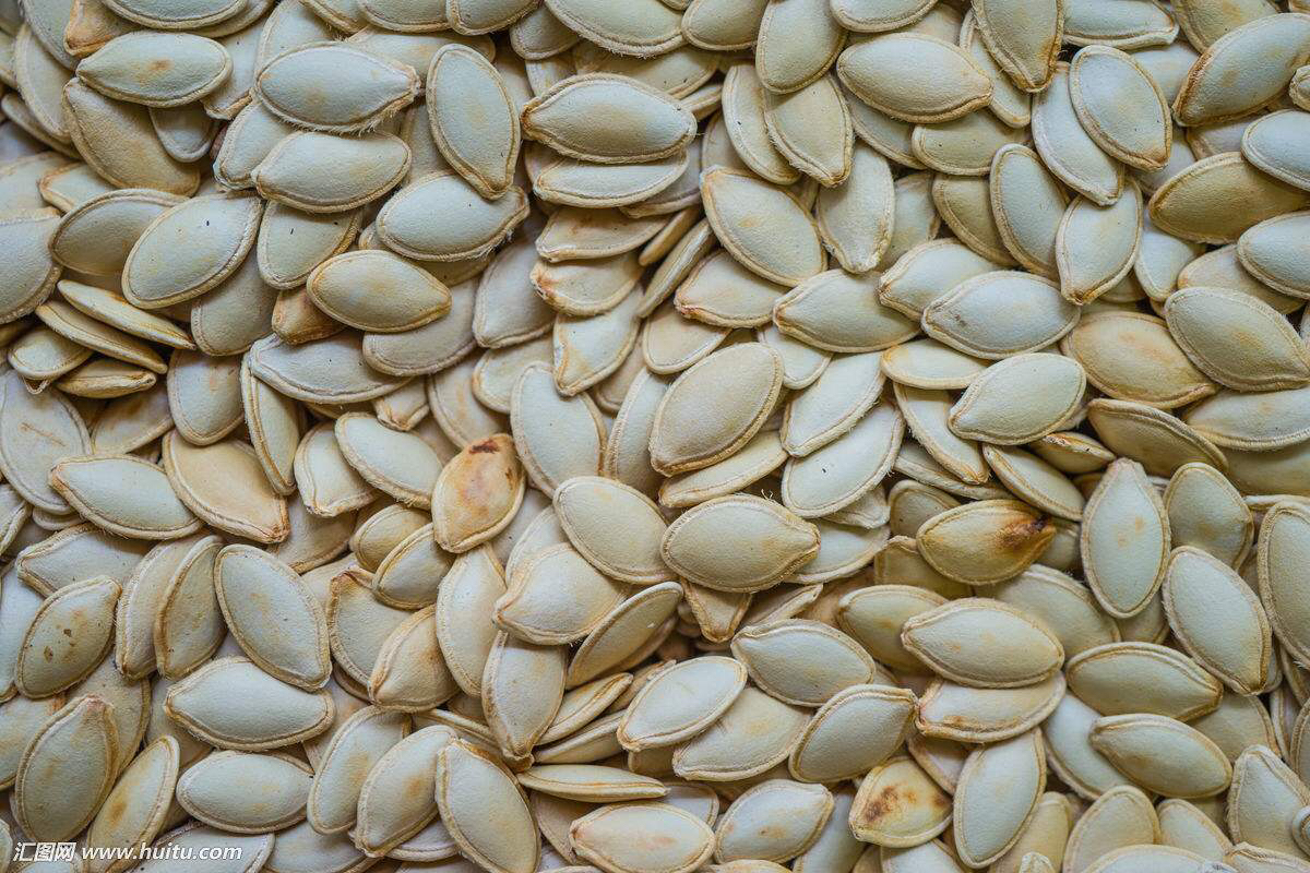 浮南瓜子的药用价值,南瓜子的药用价值搜索