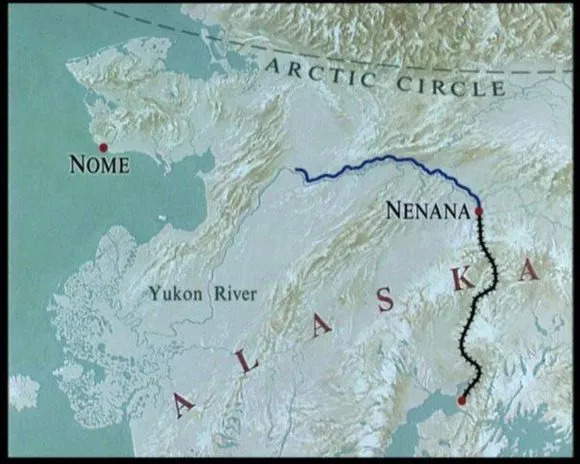 哈士奇好玩的特征,哈士奇神奇操作