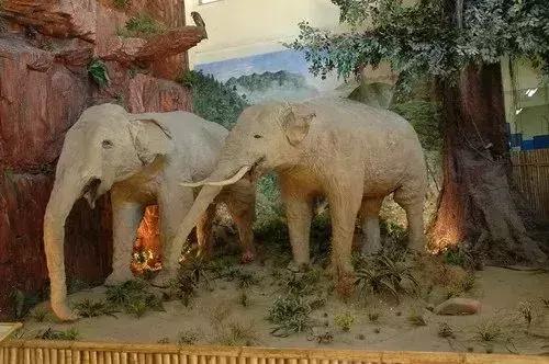 港真！劝你国庆千万别离开广州！因为……