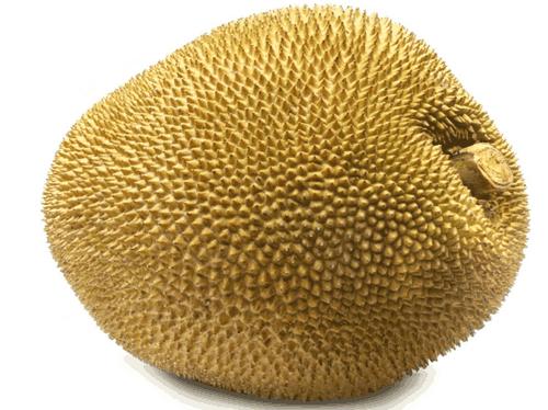 剥菠萝蜜怎么剥的又快又好,菠萝蜜怎么剥出来是完整的