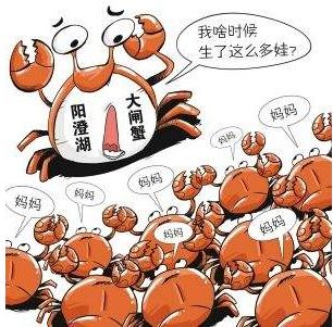 打假美食测评最无良的食品,最坑人的仿冒食品