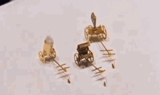 吃活物有寄生虫,吃活的虫子身体里有寄生虫