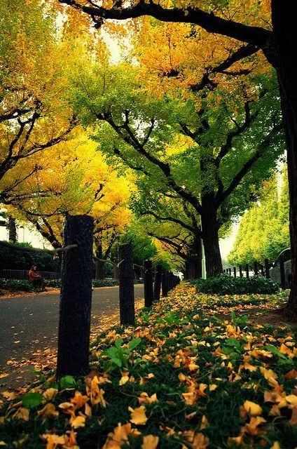 学会九大宝宝疾病用药常识，你也能成为半个儿科医生