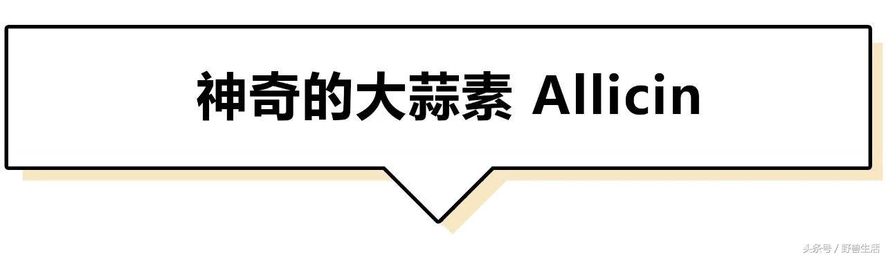 大蒜片一天吃多少最好,大蒜的保健吃法和注意点