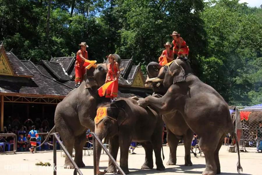 国庆云南周边旅游景点推荐,国庆去云南旅游景点有哪些要求