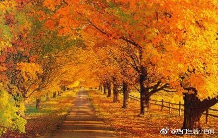 晨看*疆新**｜城乡最低生活保障水平再涨；百辆纯电动出租车乌市上路