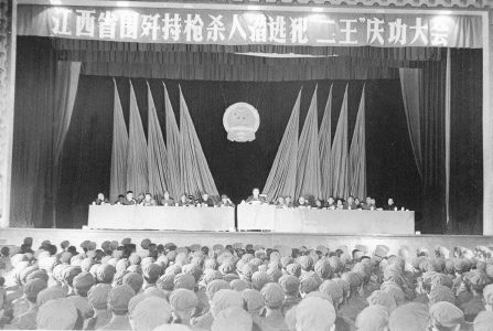 35年前,数万军警历时7个月围歼悍匪二王,引发“83年严打”