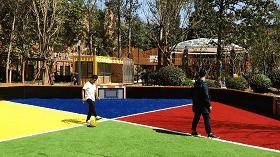 郑州足球小镇有真草足球场吗,郑州足球小镇现状