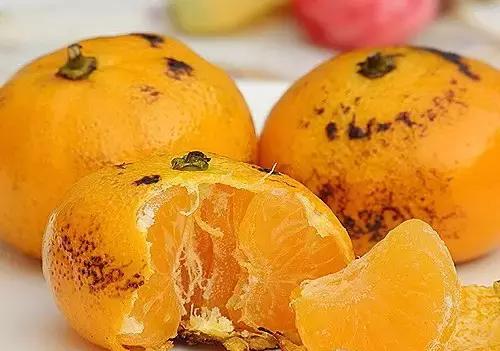 喝了一碗蒸大蒜水,喝了蒸蒜水恶心