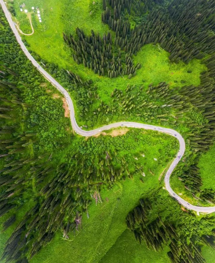 什么是中国传统文化,什么是中国文化