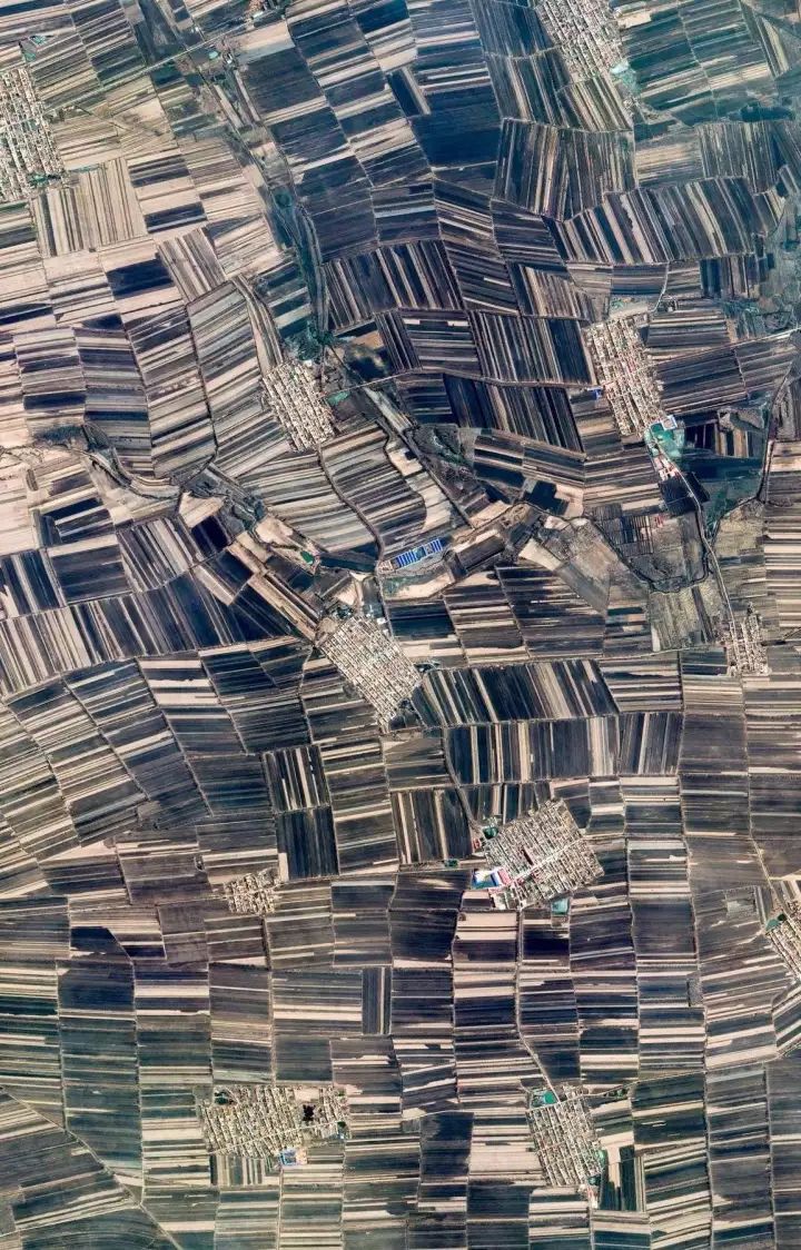 什么是中国传统文化,什么是中国文化