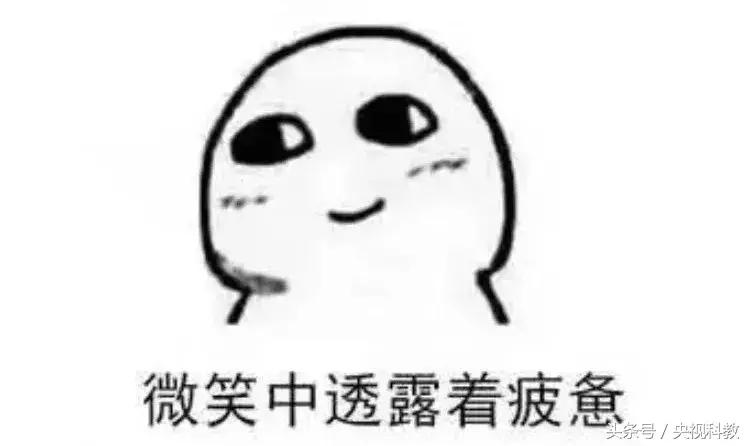 一小时喷出一个“足球场”?这样的“造岛神器”你适合了解一下