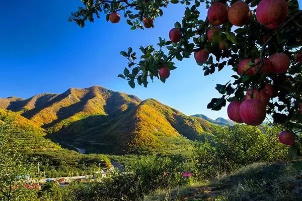 玩遍辽宁省,游遍大连的路线