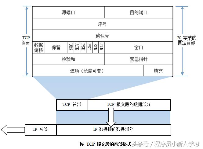 计算机网络基础知识总结菜鸟教程,计算机网络技术基础知识视频教程