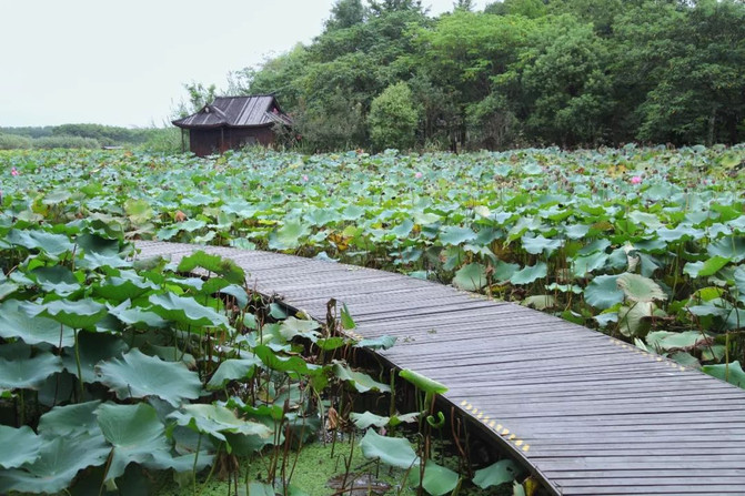 江南旅游注意事项及出行指南,旅游江南水乡