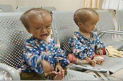 三鹿奶粉最辉煌的时候有多厉害,三鹿奶粉曾经有多厉害