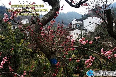 歙县古村落旅游景点有哪些好玩的,安徽歙县最美9处古村落