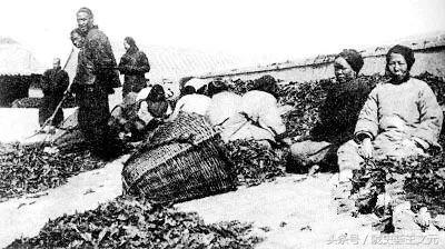 下四川，甘肃临洮水烟走成都，陇商创业的艰辛往事