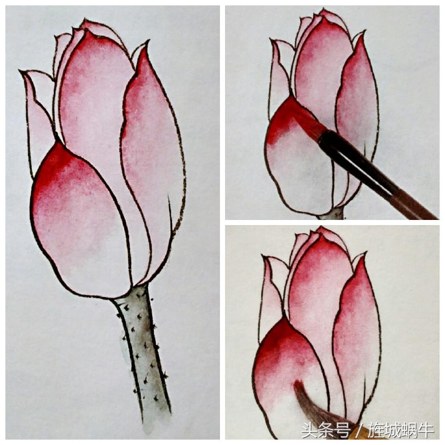 国画工笔重彩教程,国画渲染技法视频